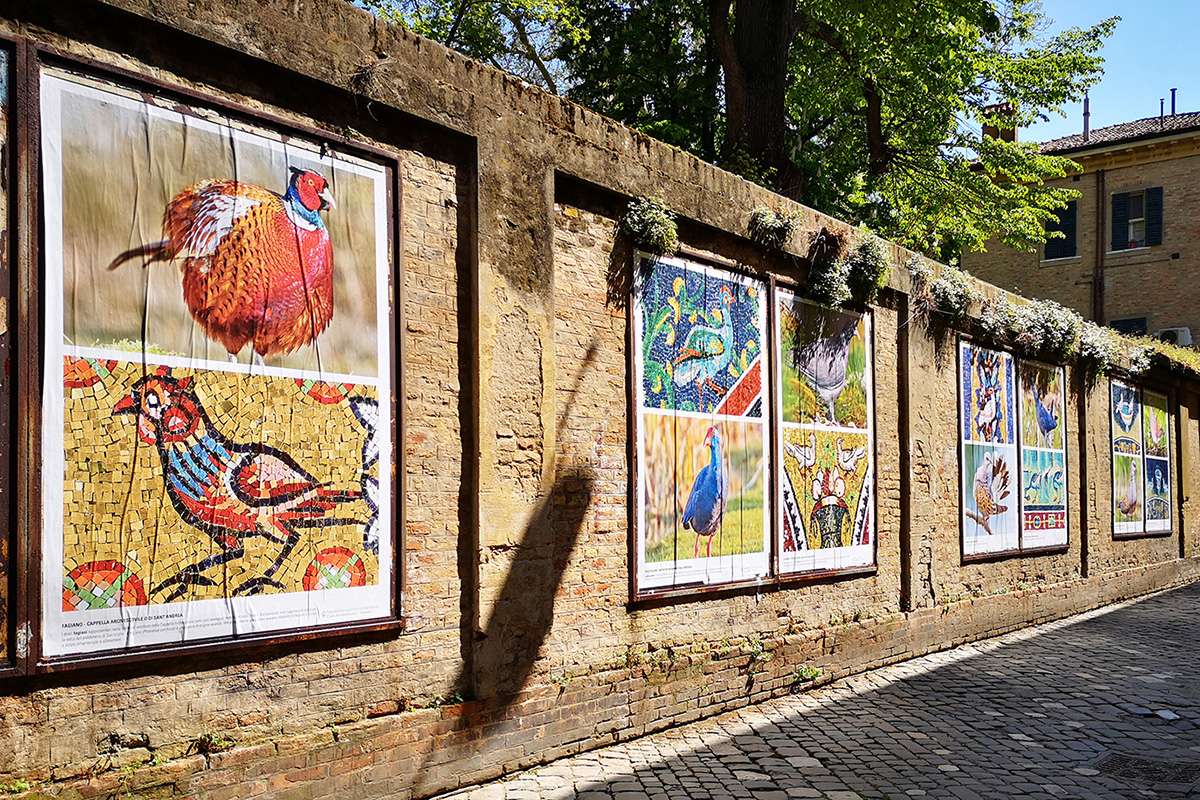 Mosaic and Nature - Via Zirardini - Ravenna Turismo