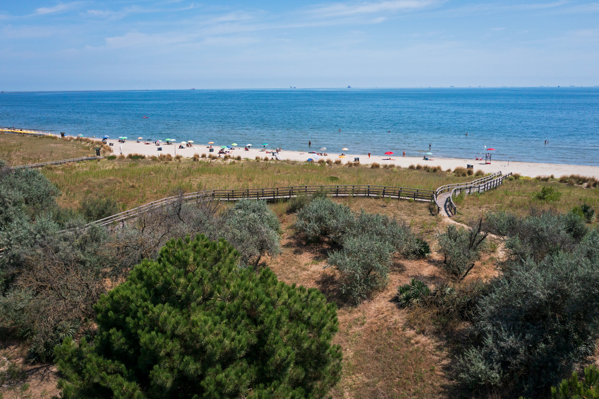 Ravenna, Parco Marittimo - Le dune costiere