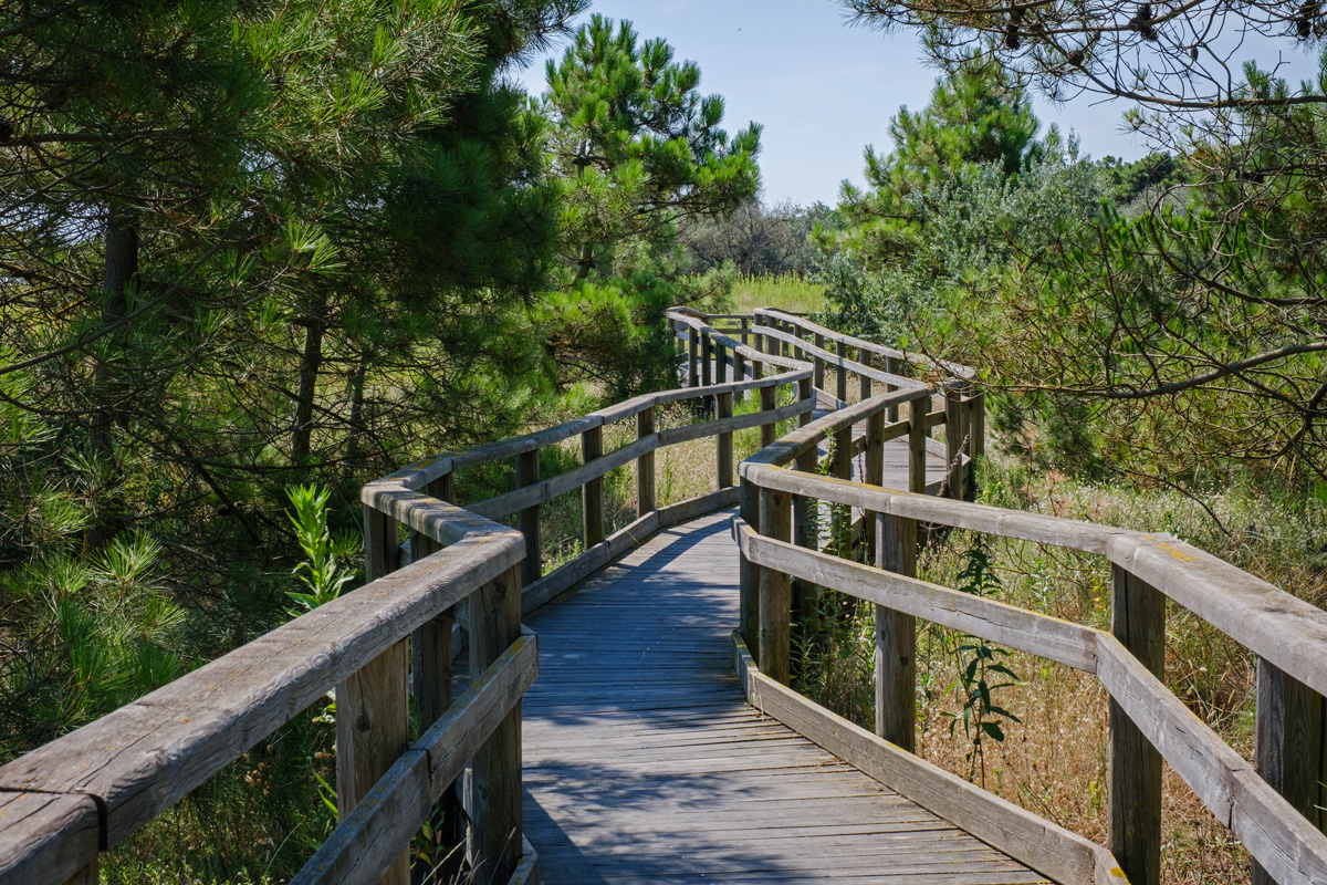 Ravenna, Parco Marittimo - Passerelle