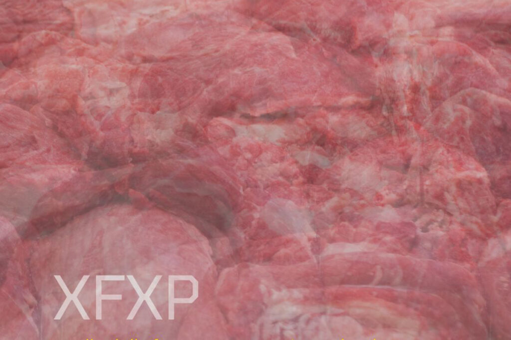 Mostra XFXP Palazzo Rasponi2 Ravenna 2025