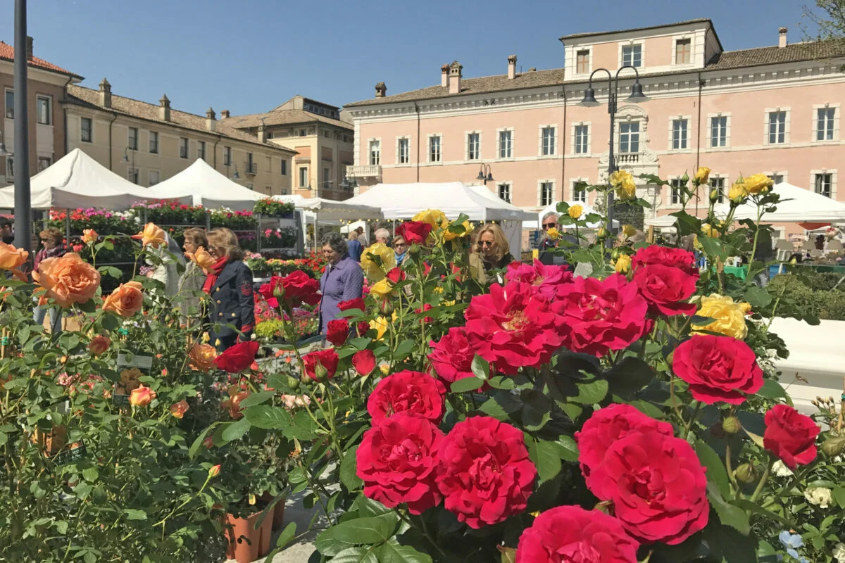 Ravenna in fiore